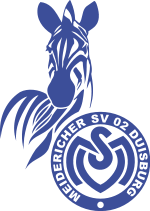 logo_msv